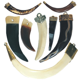 Horn Claw and Pendants6